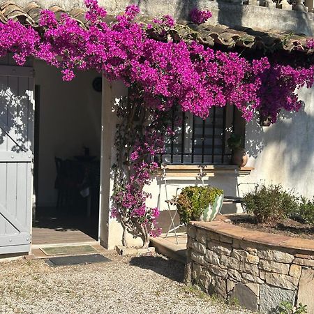 Apartmán Les Palmiers Fréjus Exteriér fotografie