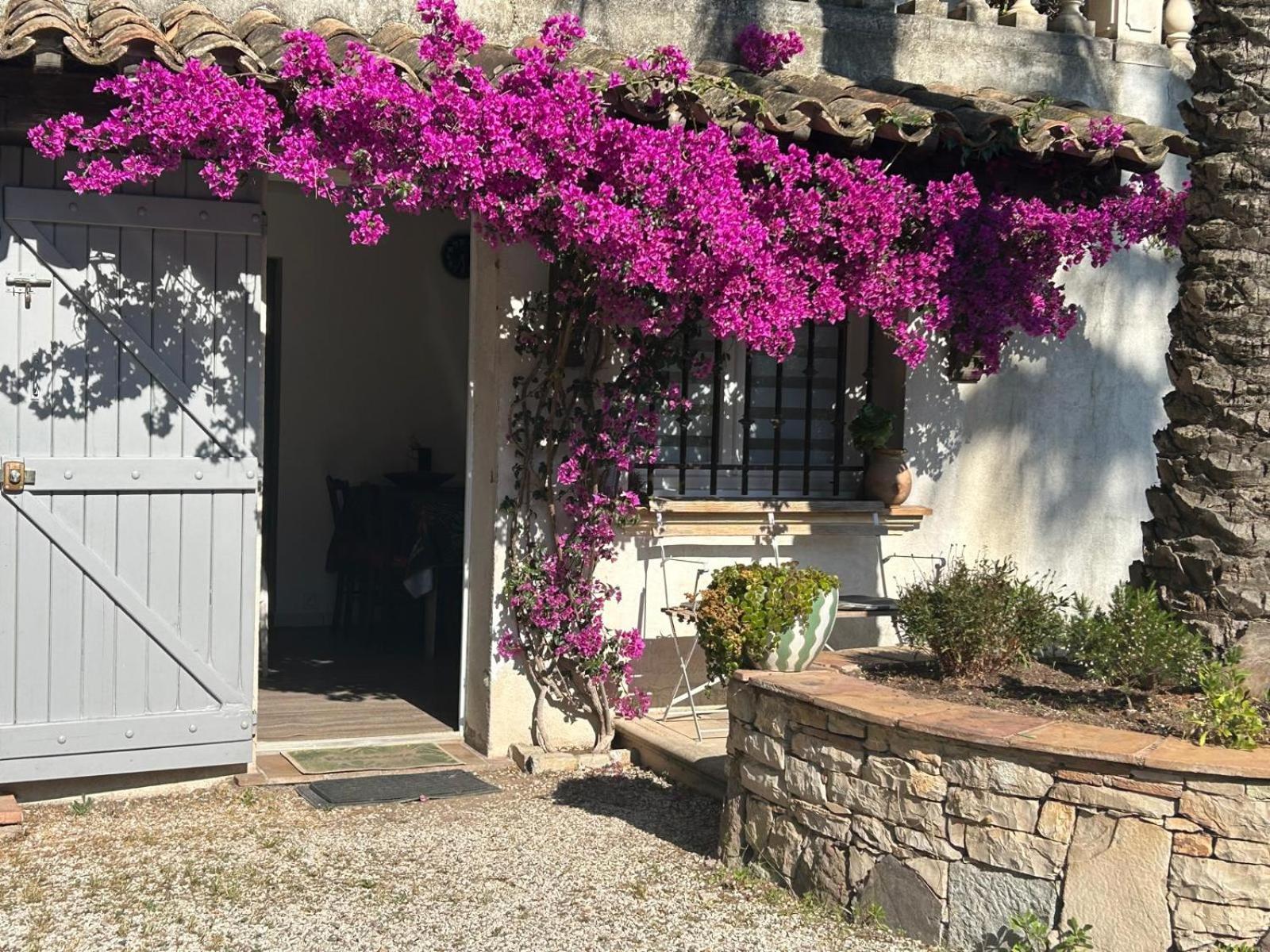 Apartmán Les Palmiers Fréjus Exteriér fotografie